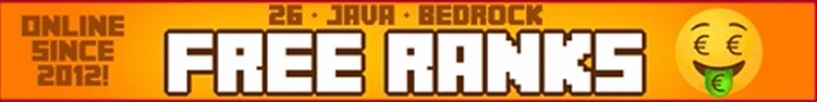InsanityCraft banner